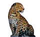 Productos Leopard